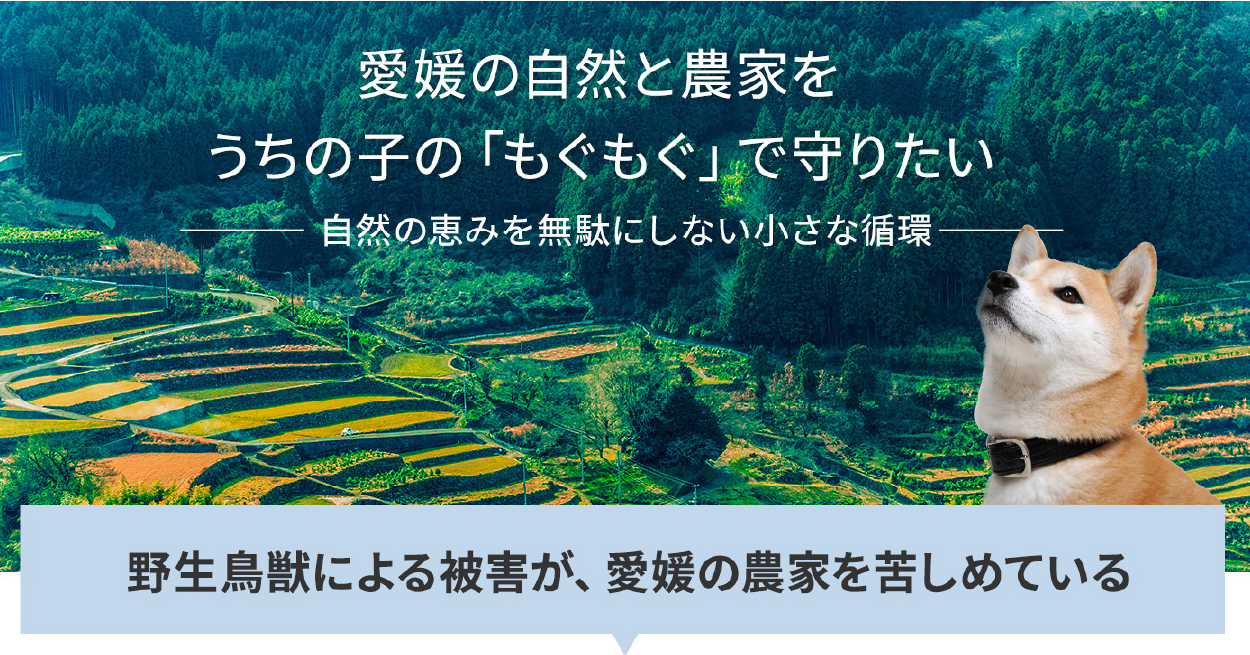 自然の恵みを無駄にしない
