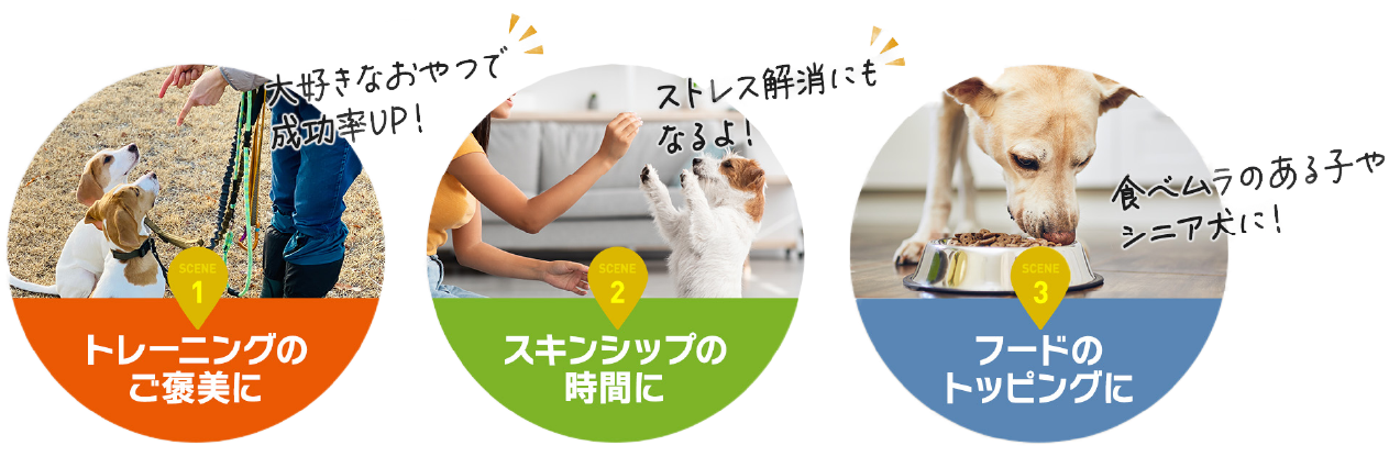 うちの子のしあわせタイム